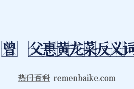 曾谹父惠黄龙菜反义词是什么意思的图片